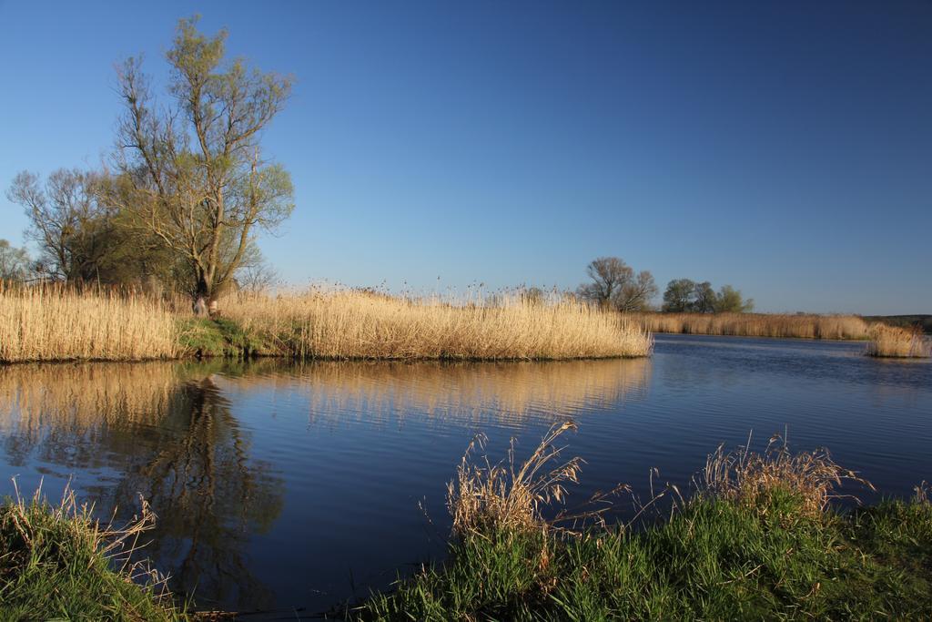 Отель Radler'S Hof Letschin Экстерьер фото